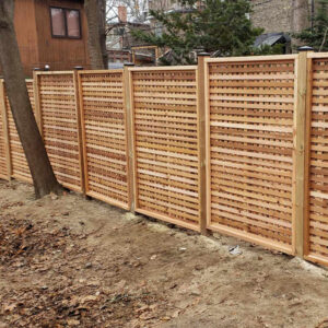 Residential backyard in Toronto, Canada, with chain link fences.
