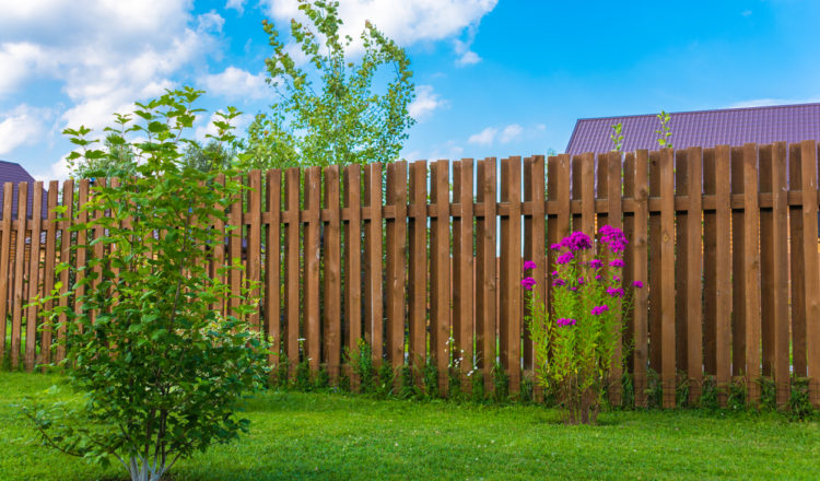 Best Wood for a Backyard Fence